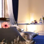 Luxury Domus Apartment *